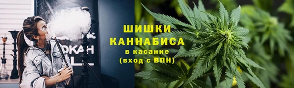 ПСИЛОЦИБИНОВЫЕ ГРИБЫ Беломорск