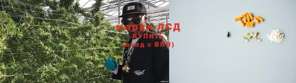 ПСИЛОЦИБИНОВЫЕ ГРИБЫ Беломорск