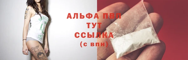 стафф Белокуриха