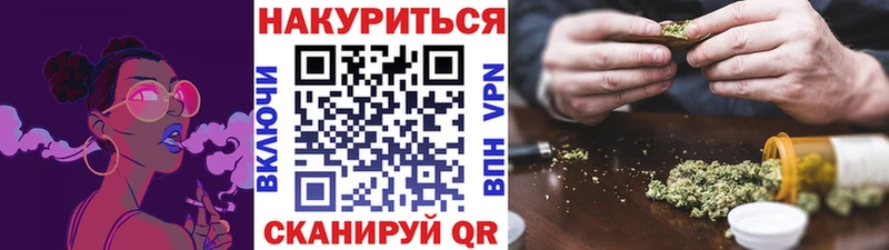 цена   Энем  Бошки Шишки план 